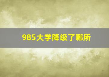 985大学降级了哪所