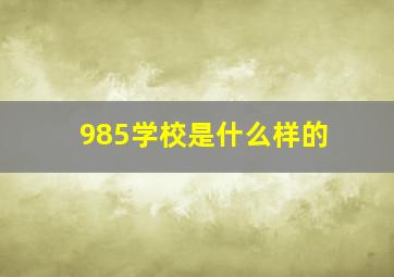 985学校是什么样的