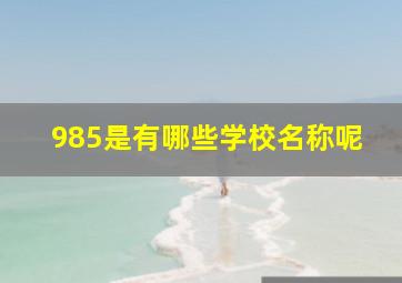 985是有哪些学校名称呢