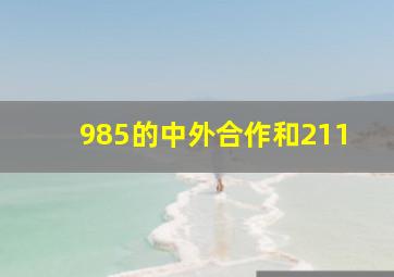 985的中外合作和211