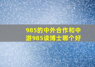 985的中外合作和中游985读博士哪个好