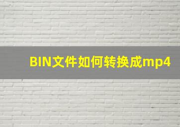 BIN文件如何转换成mp4