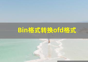 Bin格式转换ofd格式