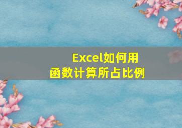 Excel如何用函数计算所占比例