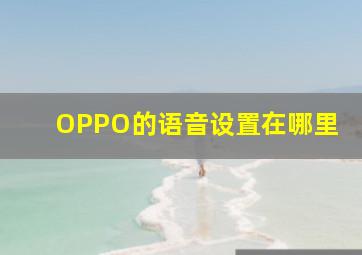 OPPO的语音设置在哪里