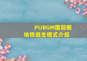 PUBGM国际服地铁逃生模式介绍