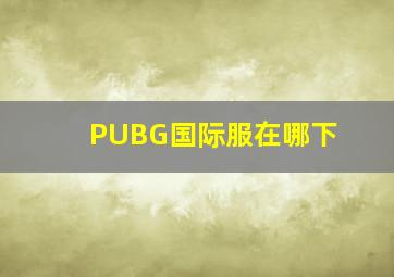 PUBG国际服在哪下