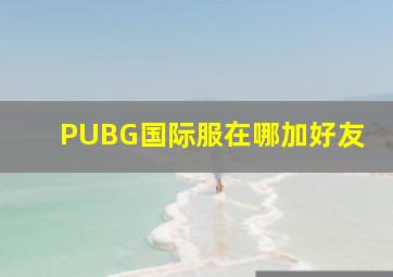 PUBG国际服在哪加好友