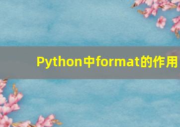 Python中format的作用