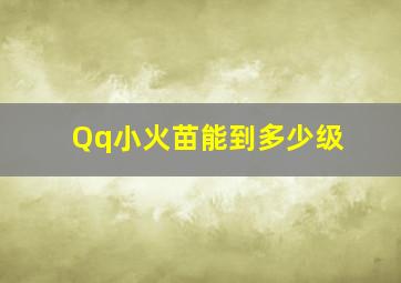 Qq小火苗能到多少级