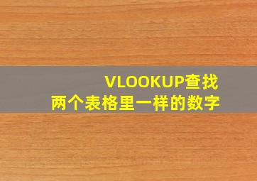 VLOOKUP查找两个表格里一样的数字