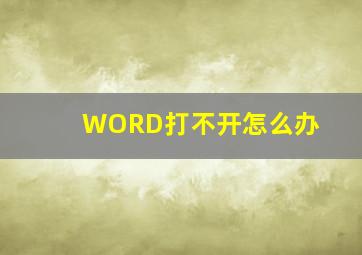 WORD打不开怎么办