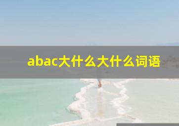 abac大什么大什么词语