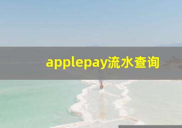 applepay流水查询