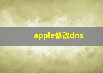 apple修改dns