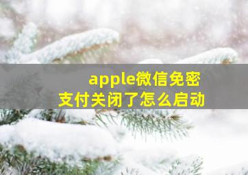 apple微信免密支付关闭了怎么启动