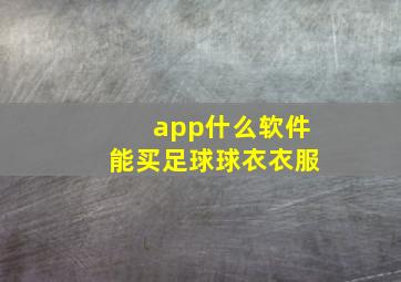 app什么软件能买足球球衣衣服