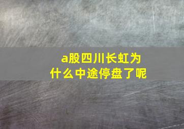 a股四川长虹为什么中途停盘了呢