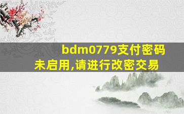 bdm0779支付密码未启用,请进行改密交易