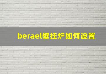 berael壁挂炉如何设置