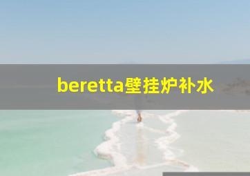 beretta壁挂炉补水