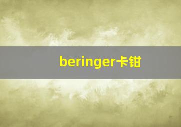 beringer卡钳