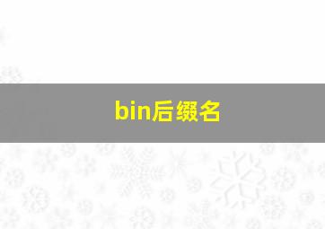 bin后缀名