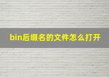 bin后缀名的文件怎么打开