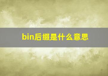 bin后缀是什么意思