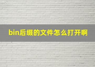 bin后缀的文件怎么打开啊