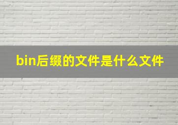 bin后缀的文件是什么文件