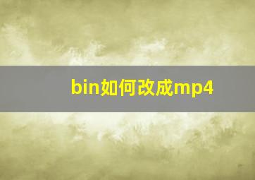 bin如何改成mp4