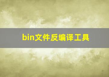 bin文件反编译工具