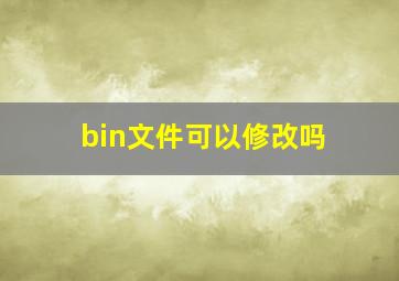 bin文件可以修改吗