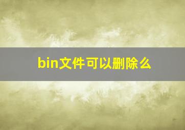 bin文件可以删除么