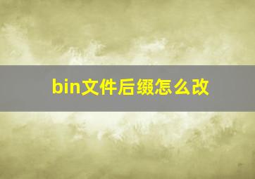 bin文件后缀怎么改