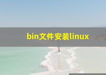 bin文件安装linux