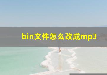 bin文件怎么改成mp3