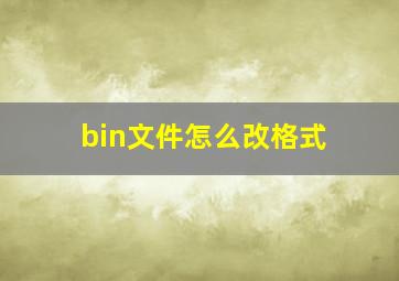 bin文件怎么改格式