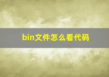 bin文件怎么看代码