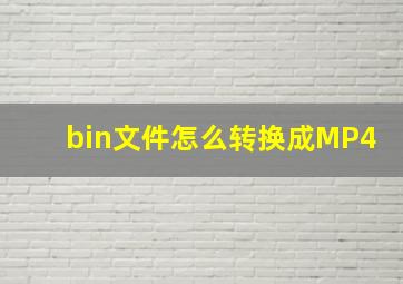 bin文件怎么转换成MP4