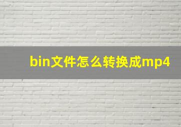 bin文件怎么转换成mp4