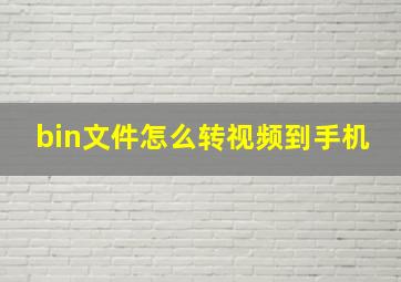 bin文件怎么转视频到手机