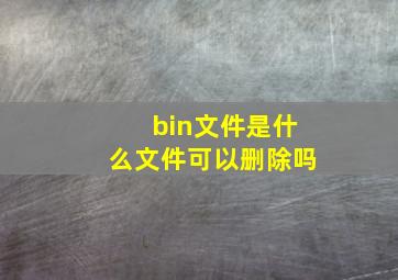 bin文件是什么文件可以删除吗