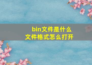 bin文件是什么文件格式怎么打开