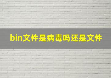 bin文件是病毒吗还是文件