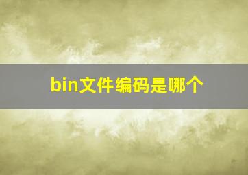 bin文件编码是哪个