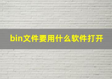 bin文件要用什么软件打开