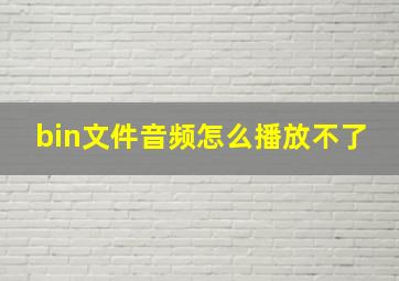 bin文件音频怎么播放不了