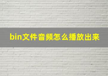 bin文件音频怎么播放出来